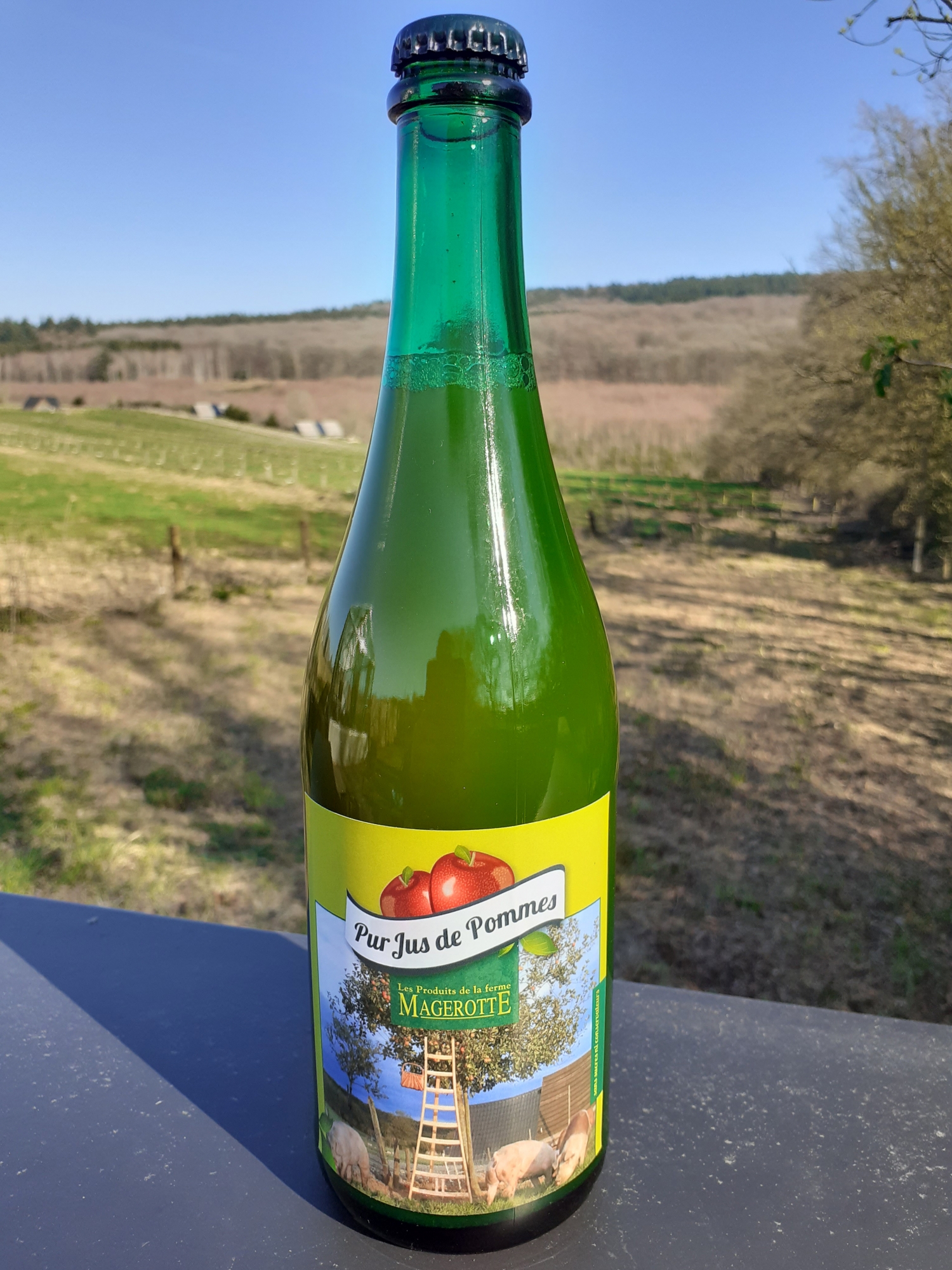 Pur jus de pommes